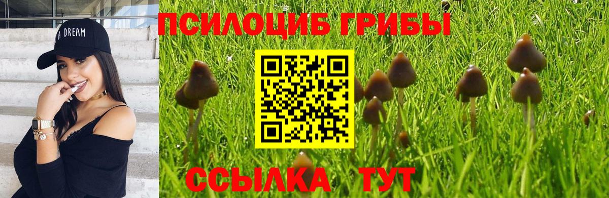 Псилоцибиновые грибы Psilocybe  Вход с VPN  Псилоцибиновые грибы мицелий  Десногорск 