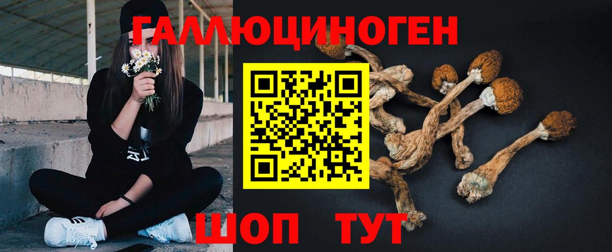 Галлюциногенные грибы ЛСД Десногорск
