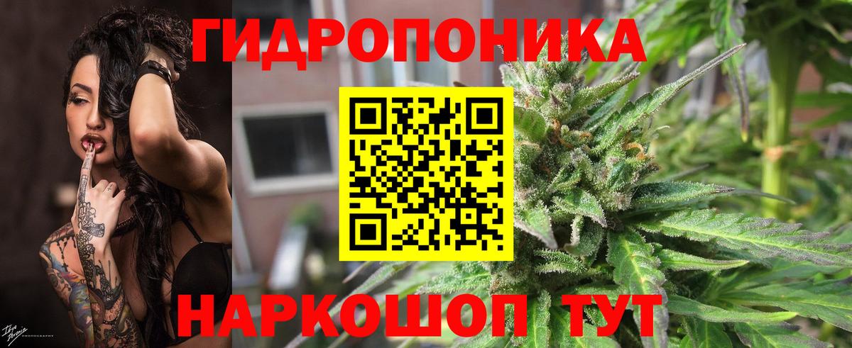 Десногорск  Шишки марихуана LSD WEED  Конопля AK-47  Марихуана SATIVA & INDICA  Вход с VPN  Бошки Шишки Bruce Banner 